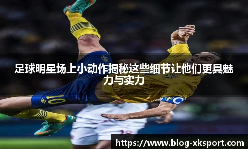 星空体育官网入口